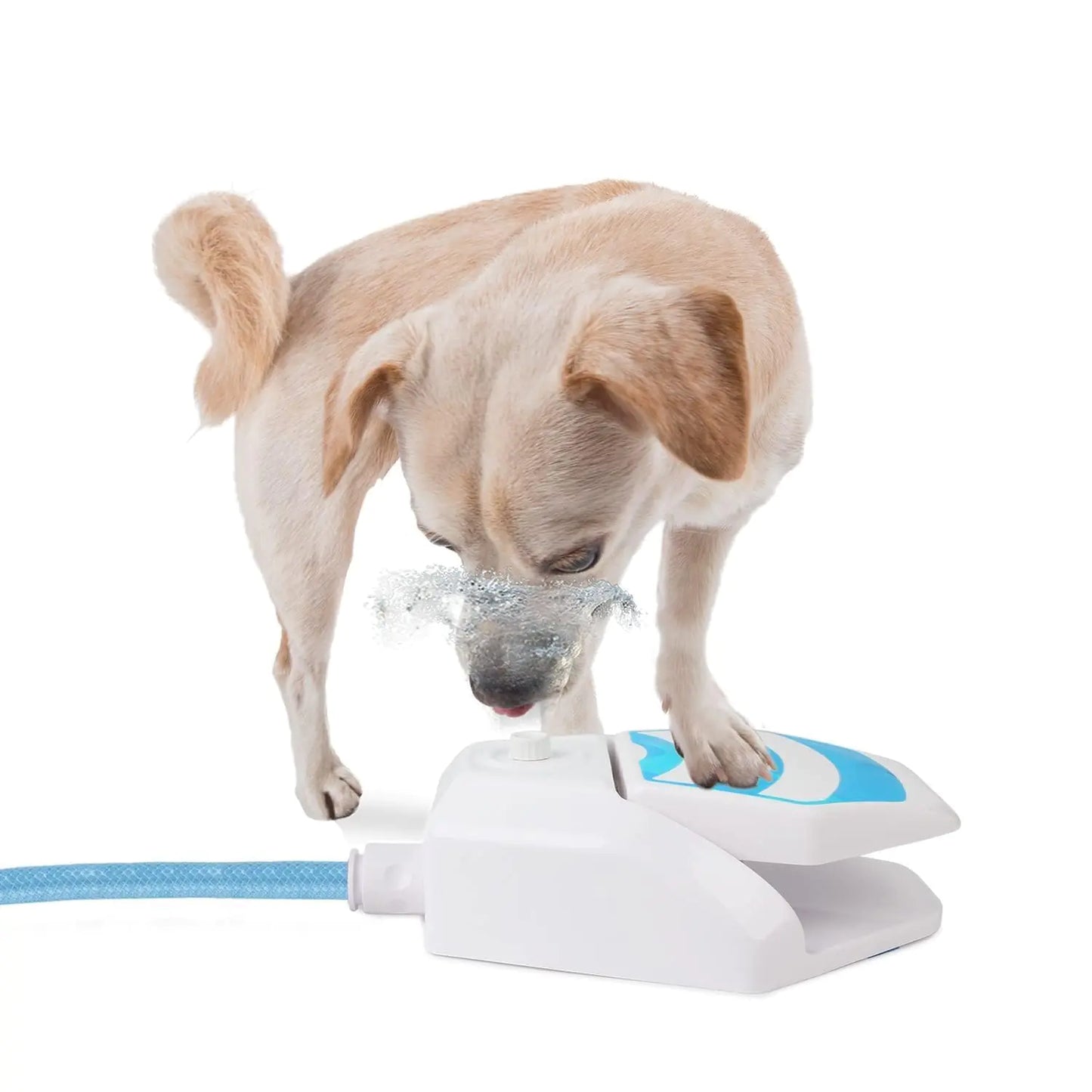 ALL FOR PAWS Outdoor Dog Sprinkler Paw Activated Dog Step On Water Fountain Water Toys for Dogs Cooling and Hydration on Hot Summer Days